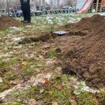 photo_2025-11-18_10-08-45